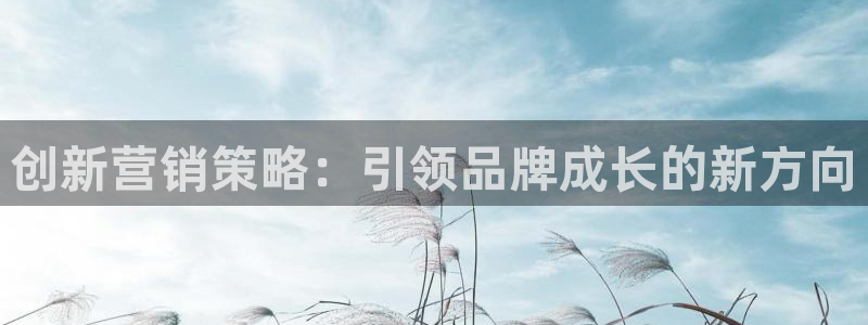 必赢3003+会员账号