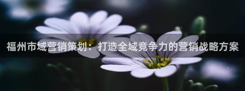 必赢集团
