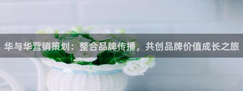 必赢手机app下载：华与华营销