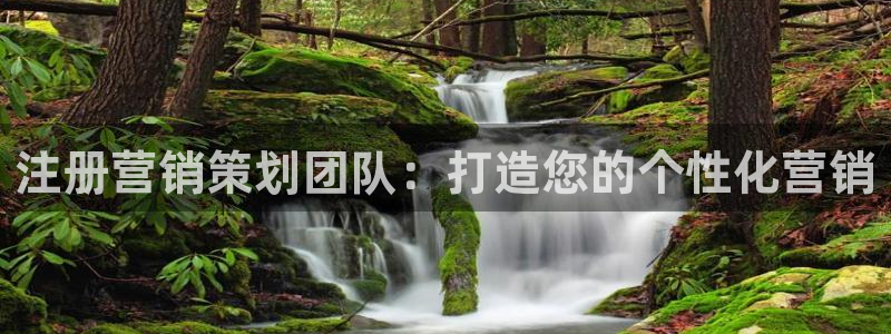 必赢官网网站：注册营销策划团队