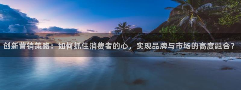 必赢官网网站入口下载：创新营销