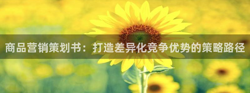 必赢766：商品营销策划书：打
