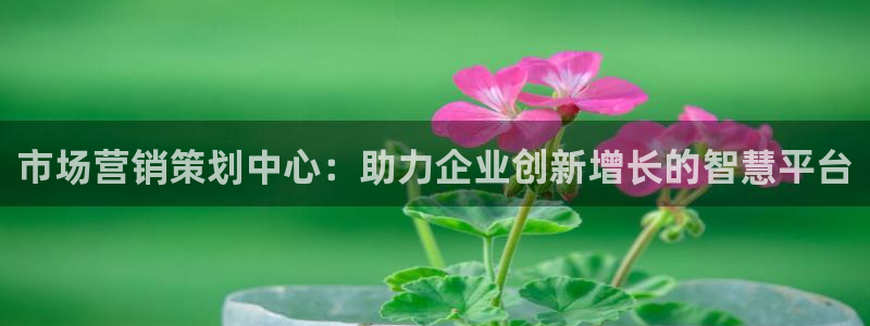 必赢网址手机主页怎么设置：市场