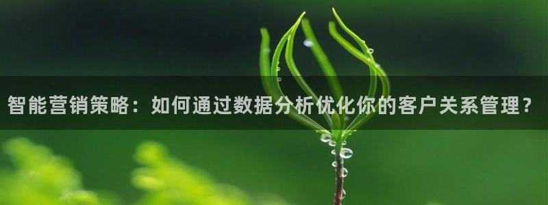 必赢网站平台登录：智能营销策略