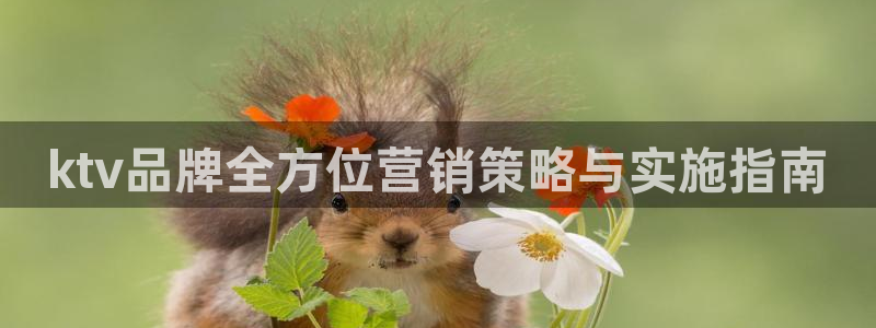必赢手机app下载最新版本安装