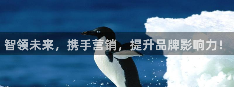 必赢国际怎么样：智领未来，携手
