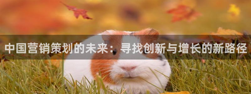 必赢下载二维码：中国营销策划的