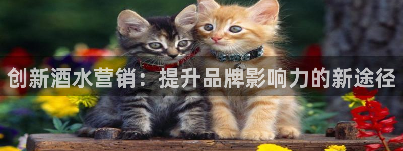 必赢官网网址多少