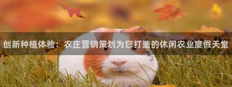 必赢国际a600典cc注册