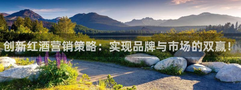 必赢官网网址多少号登录入口