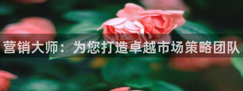 必赢app是干什么的